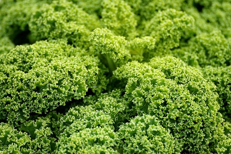 Leafy Greens